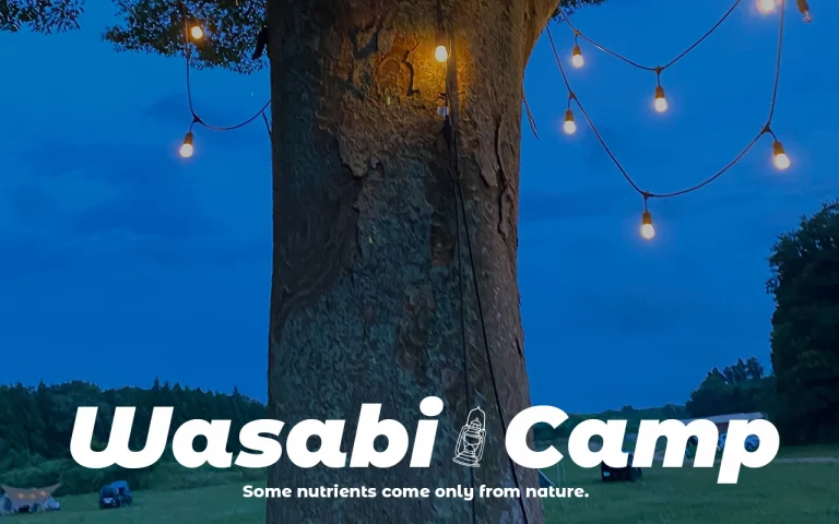 【WASABI CAMP】紹介編：（千葉）一番星ヴィレッジ