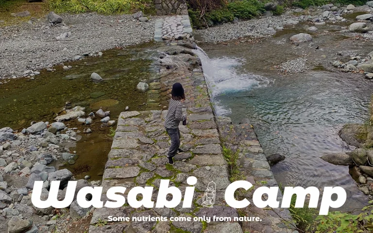 【WASABI CAMP】紹介編：（神奈川）滝沢園キャンプ場