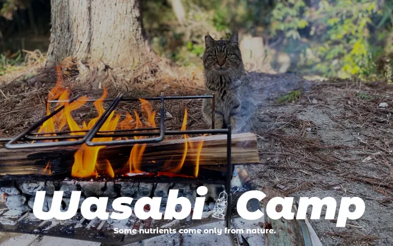 【WASABI CAMP】紹介編：（千葉）しげキャン