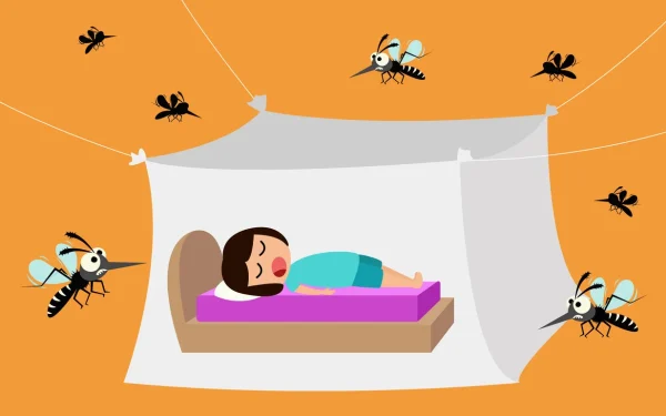 変な雑学：夏の蚊は、冬になるとどうして消えてしまうの？